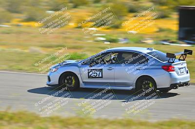 media/Apr-06-2024-Extreme Speed (Sat) [[3431b70655]]/Green-mid int/Session 1-The Bowl/